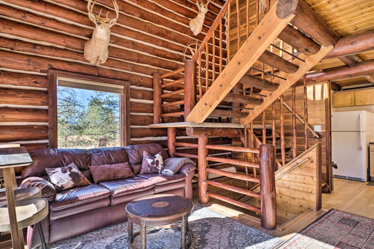 Florissant Classic Colorado Log Home With Mountain Views! מראה חיצוני תמונה